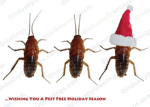 Pest Free Holiday Card