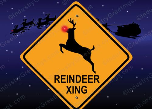 Reindeer XING Christmas Card