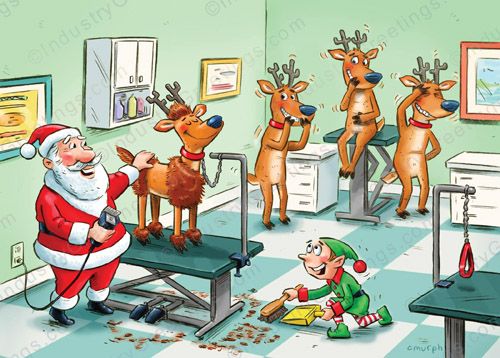 Pet Grooming Christmas Card
