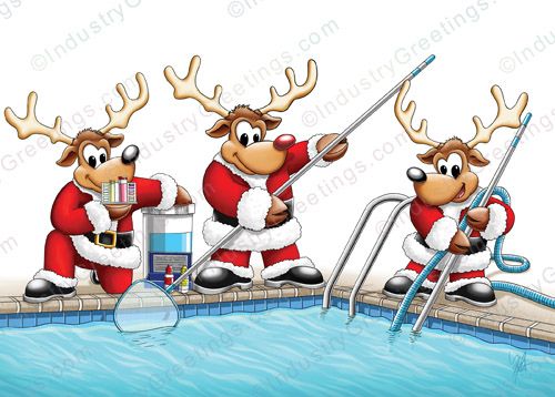 Reindeer Pool Service Holiday Card