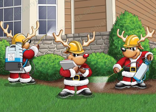 Reindeer Pest Control Holiday Card