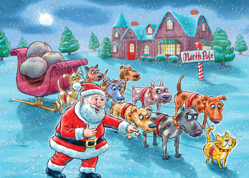 Pet Groomer Christmas Card